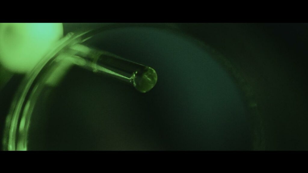 whatsapp image 2025 11 27 at 22.20.11